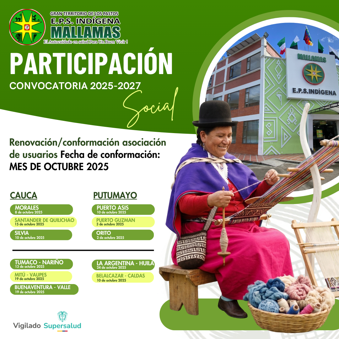 Participacion eleccion liga usuarios octubre 2025